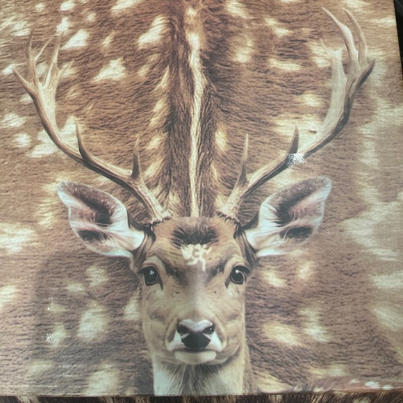 Worst Case Bambi Tabi Mules - Picture 2 of 5